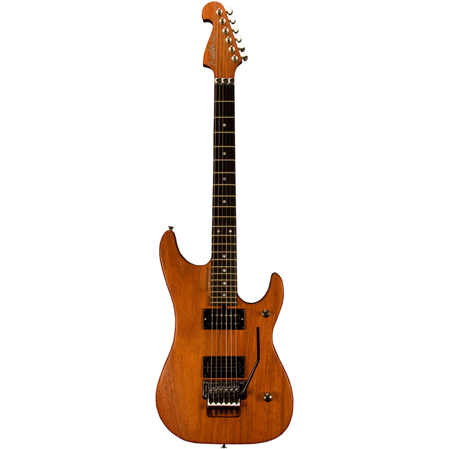 Washburn Guitars 日本公式サイト
