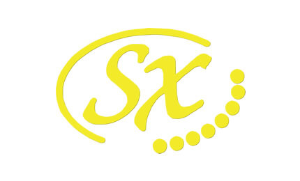 SX Guitars
