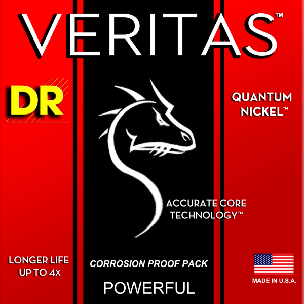 VERITAS SERIES for GUITAR VTE-11 (HEAVY)