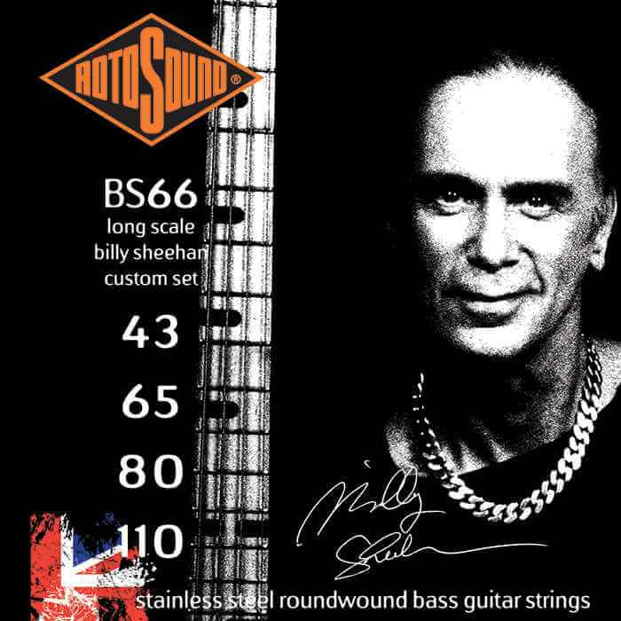 Swing Bass 66 Billy Sheehan Custom (BS66)