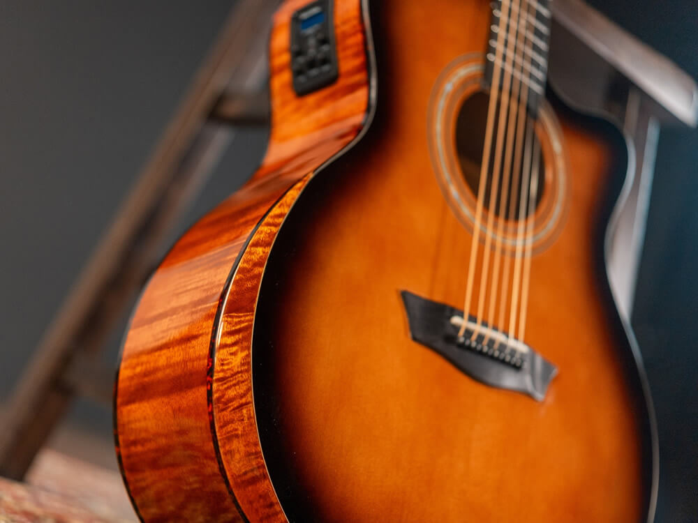 Washburn Guitars | キクタニミュージック