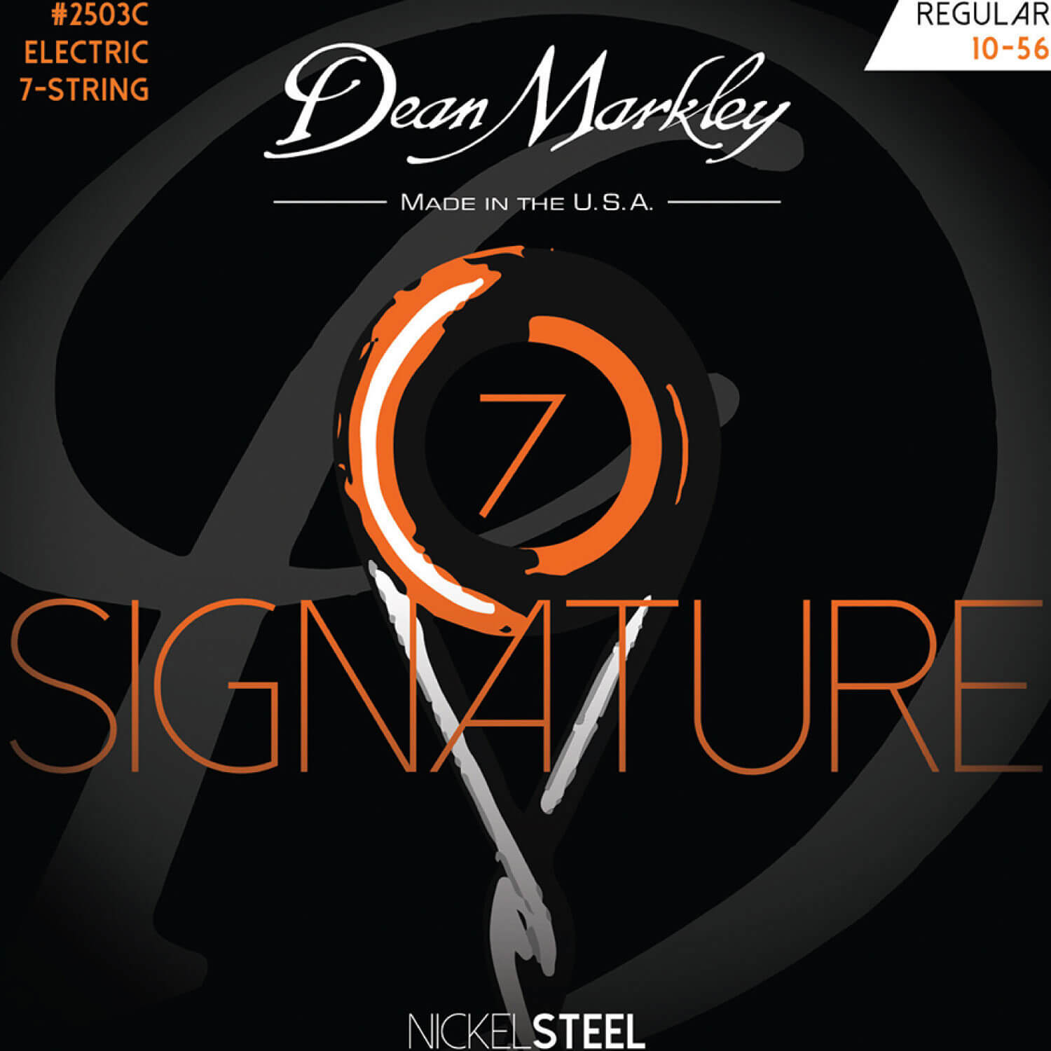NICKEL STEEL Signature DM2503C (7弦用 REGULAR)