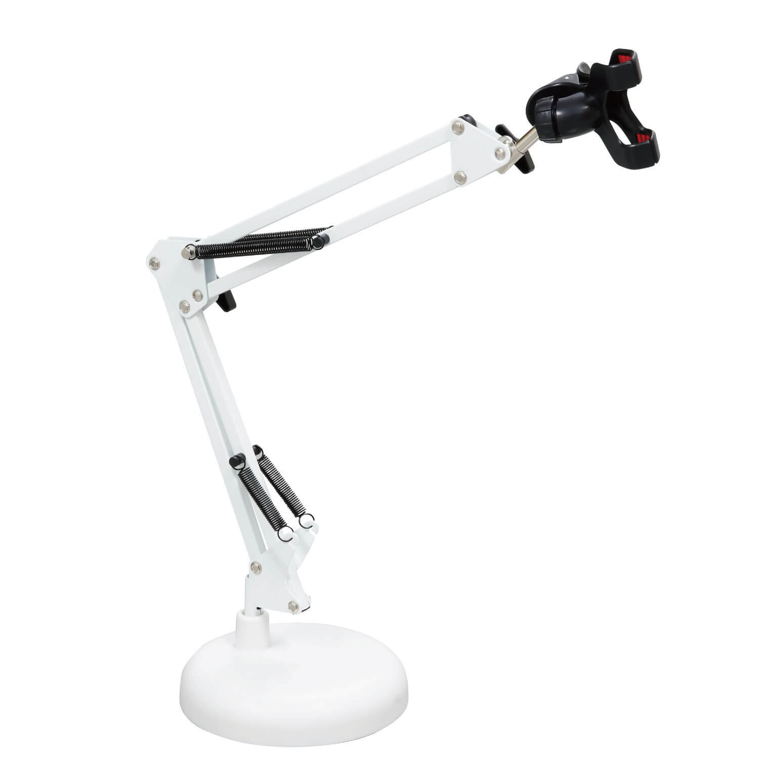 MPS1 WT (WHITE)