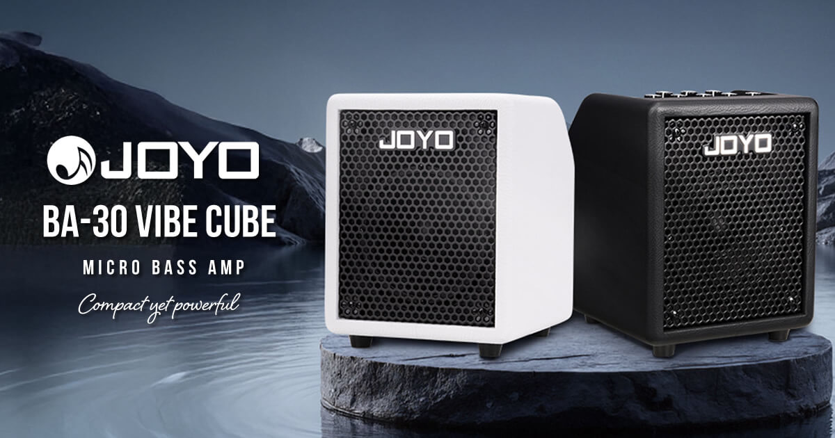 コンパクトながらパワフルなベースアンプ「BA-30 VIBE CUBE」