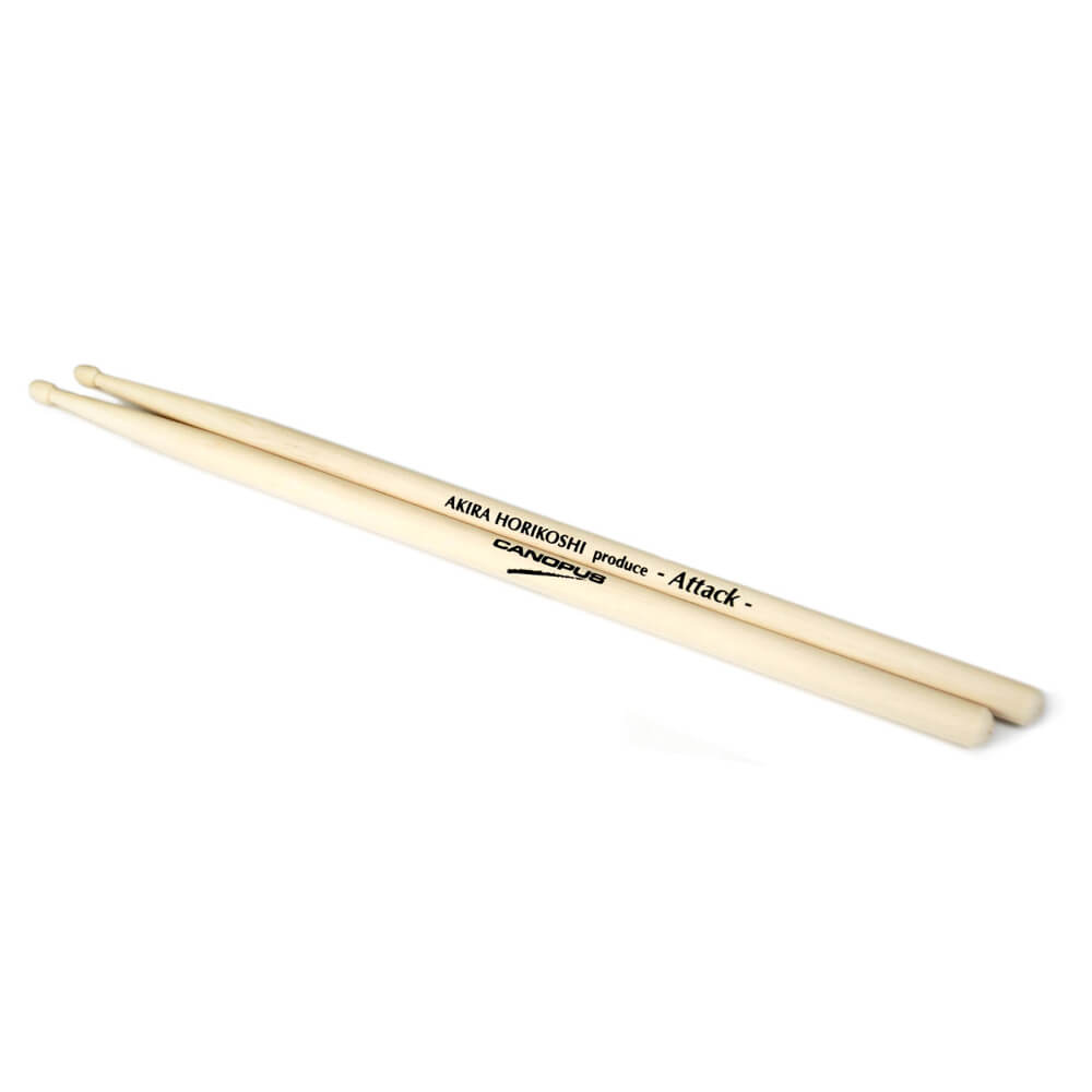 CP-AH-W 堀越彰モデル -WING-