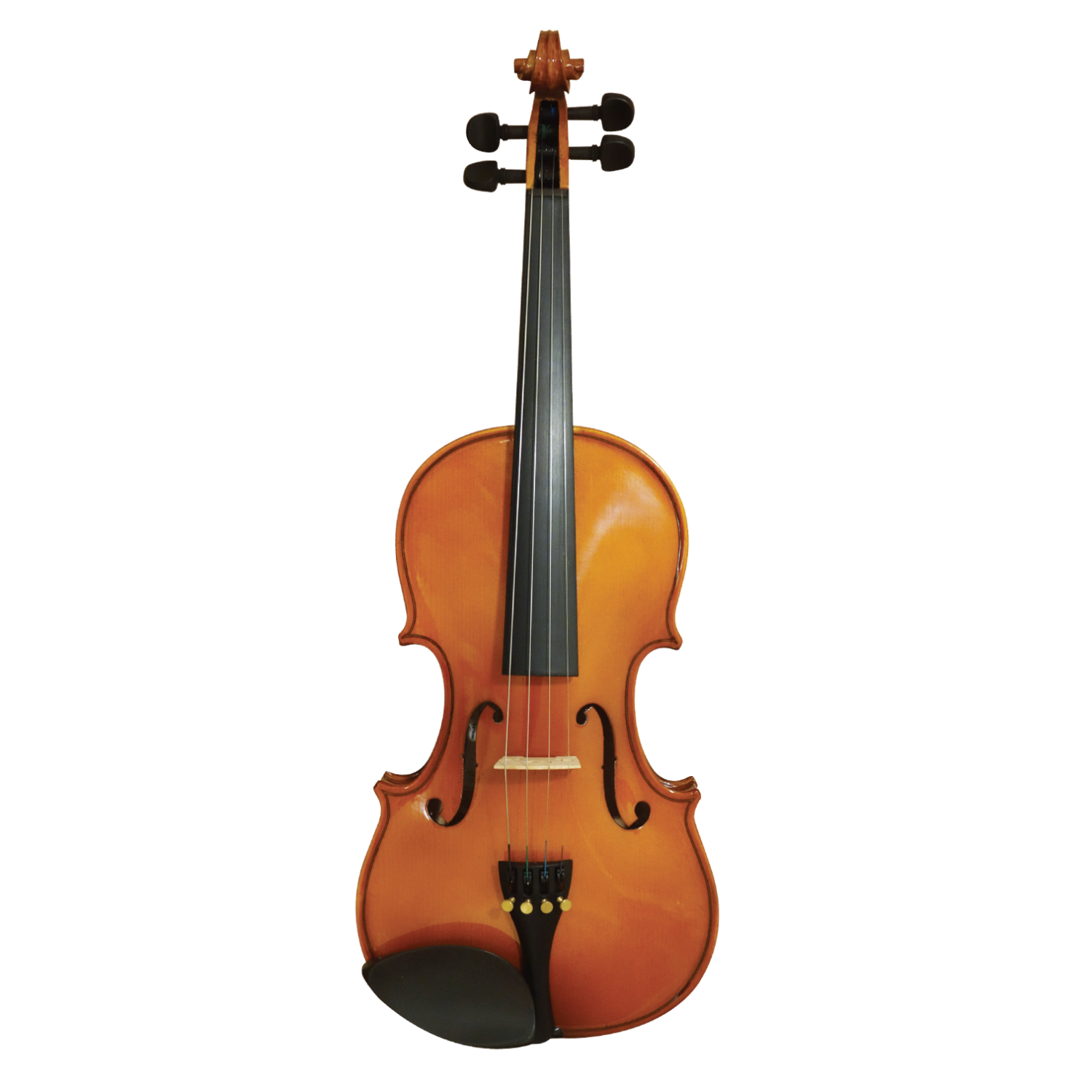 3000円 最高の品質 バイオリン Stentor SV-120 1 2 ステンター