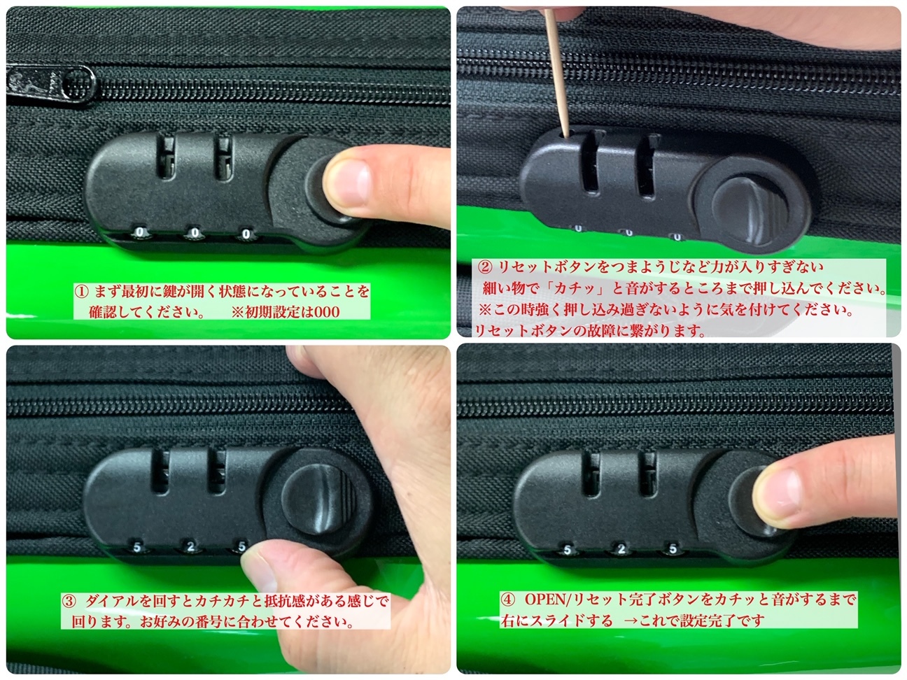 BAGS EFAS