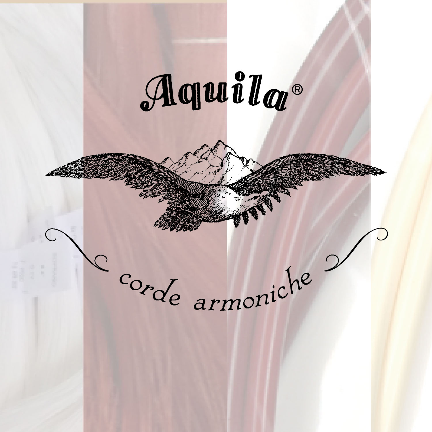 aquila